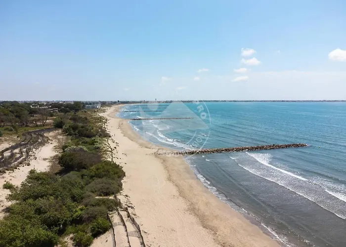 As21515 - Avec Joli Jardin Et Parking Prive Διαμέρισμα Le Grau-du-Roi